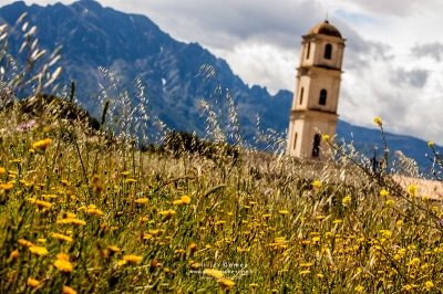 19052013-IMG_9085 copie.jpg