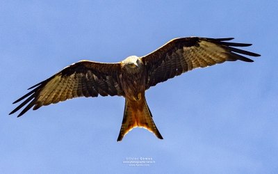 IMG_3097bisFBLOG copie.jpg