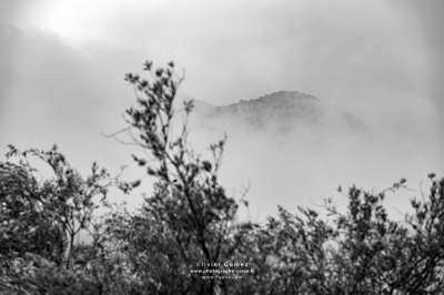 IMG_3517bis copieFBLOG.jpg