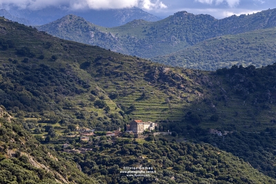 IMG_8512bisBLOGFB copie.jpg
