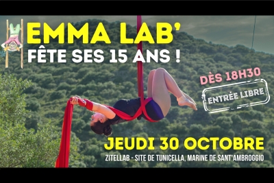 15ANSEMMALABBLOG copie.jpg